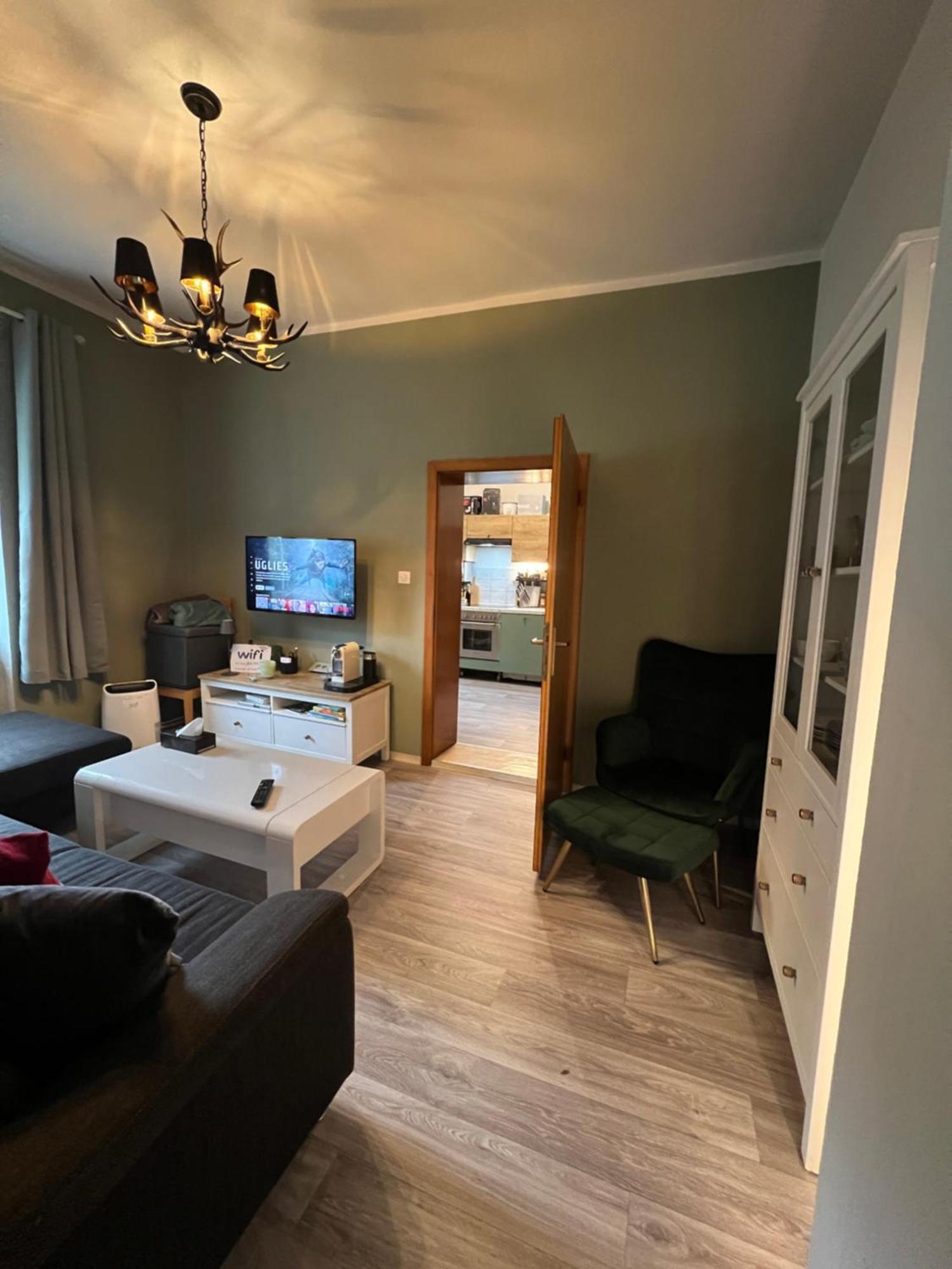 Ausseerland Apartments - Relax, Ski, Hike And Bike, Garden, Parking, Bbq, Near Hallstatt, Loser, Tauplitz And Krippenstein, Free Wi-Fi And Netflix Bad Aussee Εξωτερικό φωτογραφία