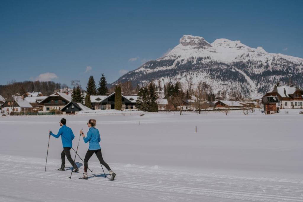 Ausseerland Apartments - Relax, Ski, Hike And Bike, Garden, Parking, Bbq, Near Hallstatt, Loser, Tauplitz And Krippenstein, Free Wi-Fi And Netflix Bad Aussee Δωμάτιο φωτογραφία