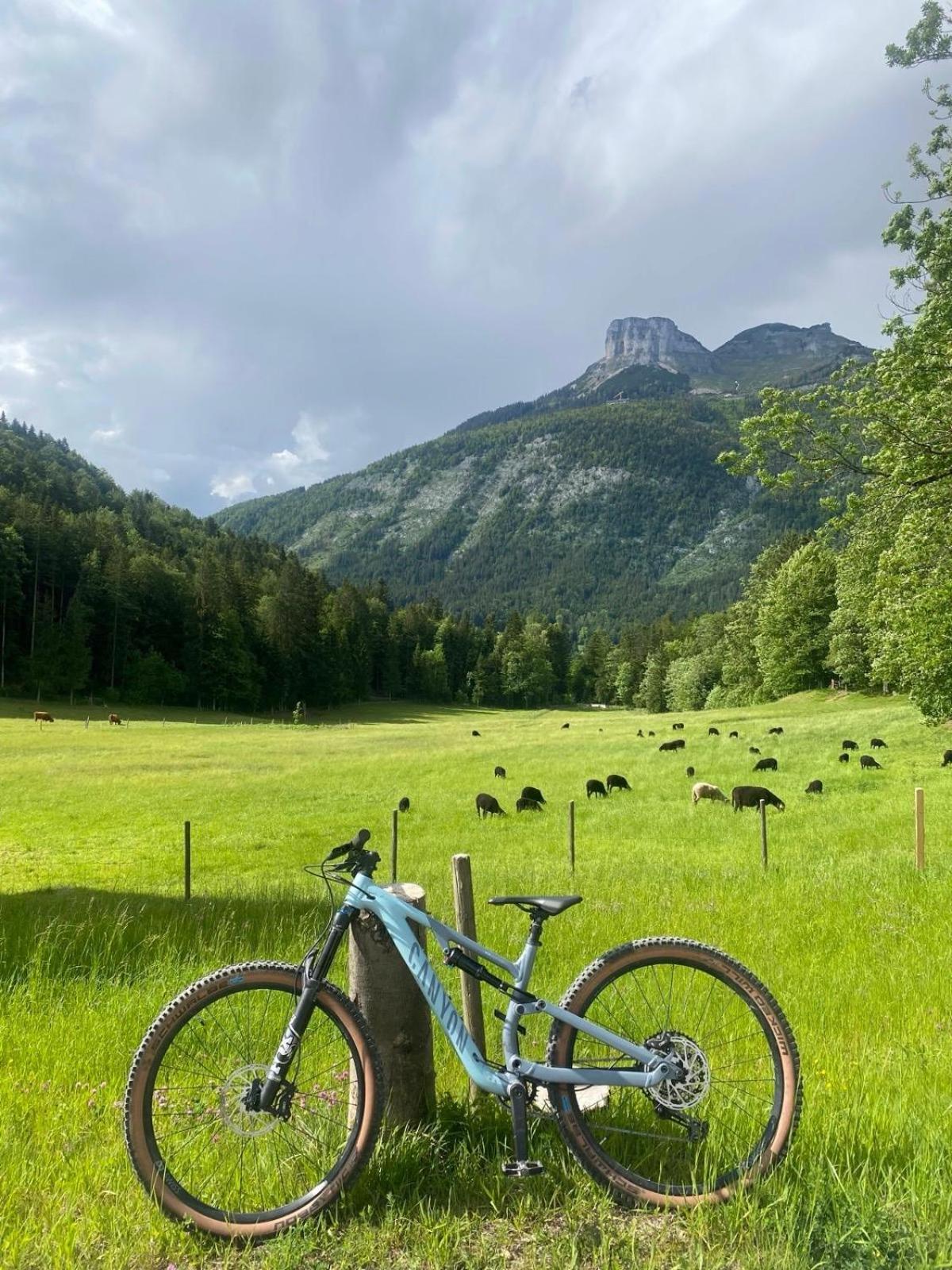 Ausseerland Apartments - Relax, Ski, Hike And Bike, Garden, Parking, Bbq, Near Hallstatt, Loser, Tauplitz And Krippenstein, Free Wi-Fi And Netflix Bad Aussee Εξωτερικό φωτογραφία