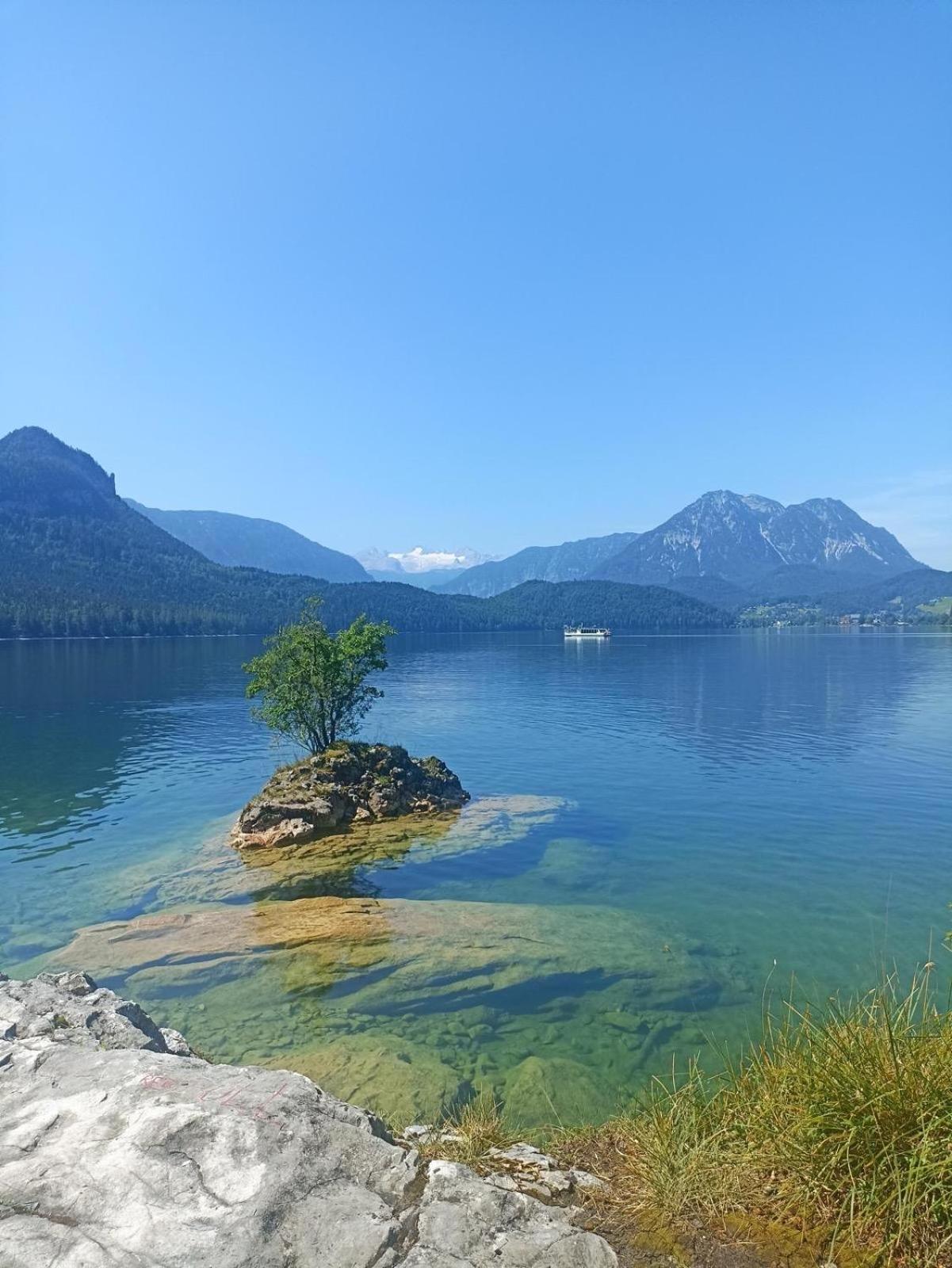Ausseerland Apartments - Relax, Ski, Hike And Bike, Garden, Parking, Bbq, Near Hallstatt, Loser, Tauplitz And Krippenstein, Free Wi-Fi And Netflix Bad Aussee Εξωτερικό φωτογραφία