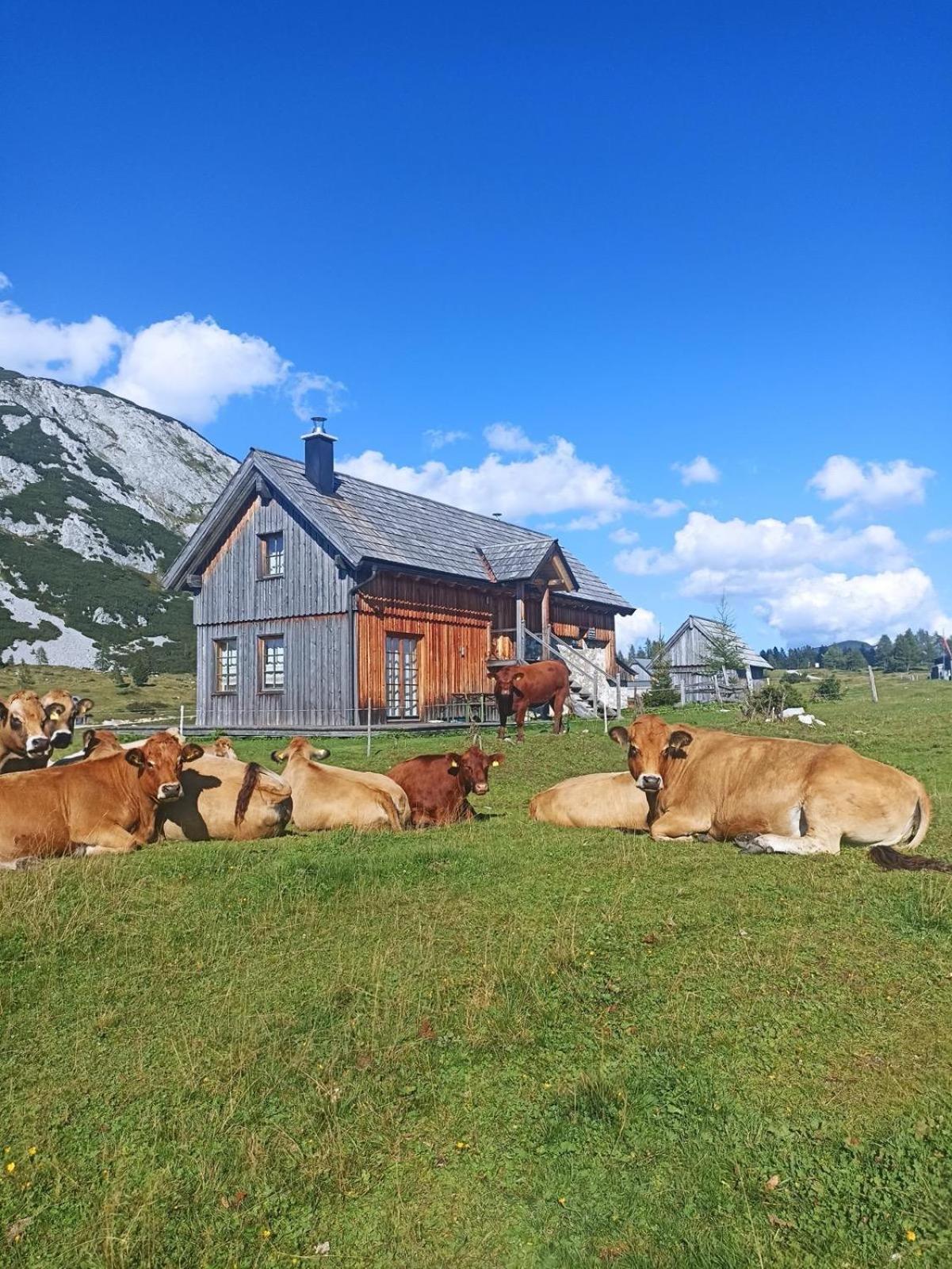 Ausseerland Apartments - Relax, Ski, Hike And Bike, Garden, Parking, Bbq, Near Hallstatt, Loser, Tauplitz And Krippenstein, Free Wi-Fi And Netflix Bad Aussee Εξωτερικό φωτογραφία