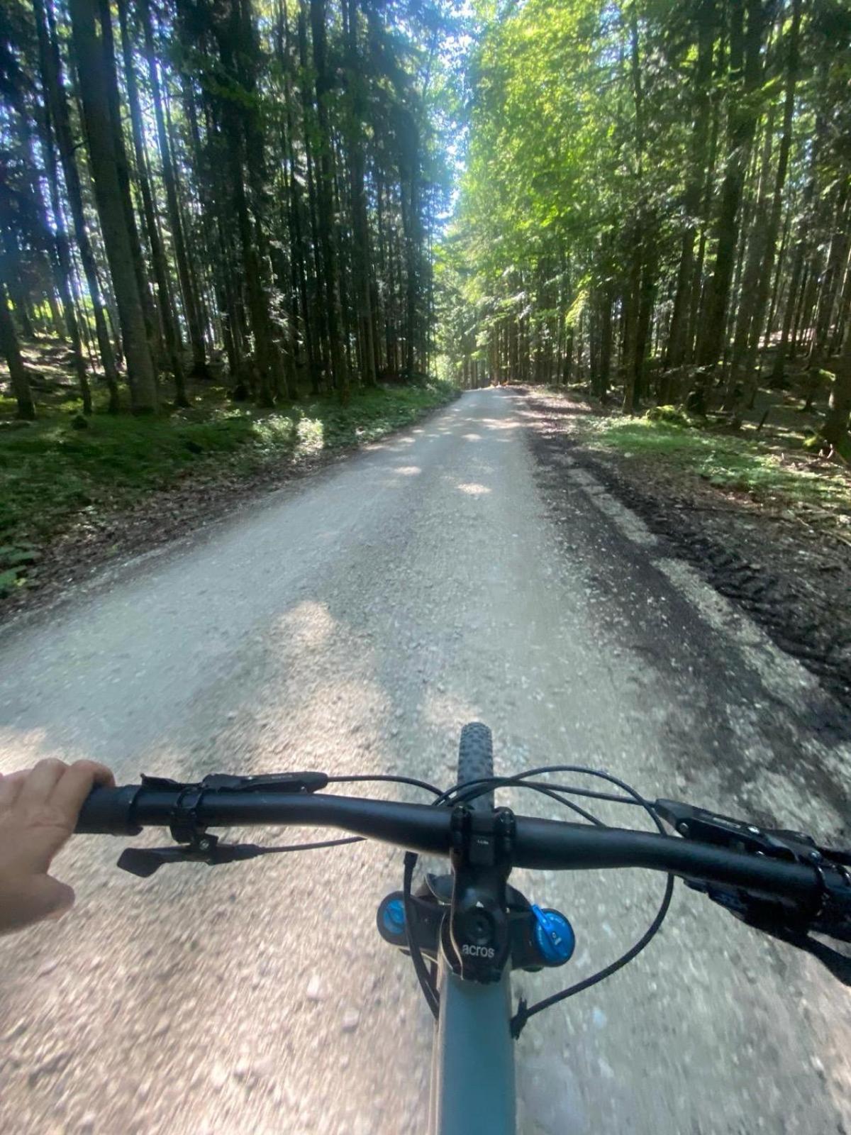 Ausseerland Apartments - Relax, Ski, Hike And Bike, Garden, Parking, Bbq, Near Hallstatt, Loser, Tauplitz And Krippenstein, Free Wi-Fi And Netflix Bad Aussee Εξωτερικό φωτογραφία